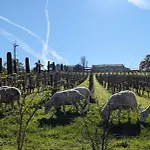 Chateau La Rose Perriere Gæstehus 3*