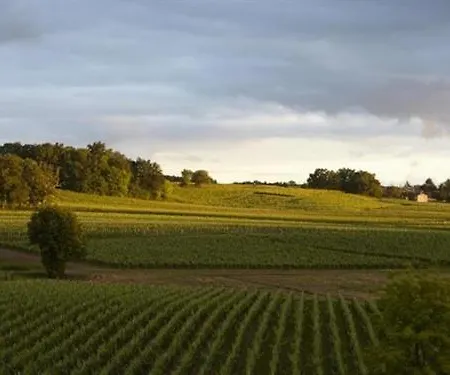 Château La Rose Perrière Lussac (Gironde)