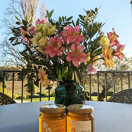 Chateau La Rose Perriere Konukevi Lussac (Gironde)