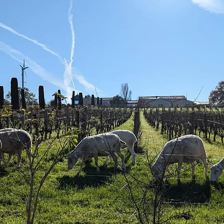 Chateau La Rose Perriere Konukevi 3*