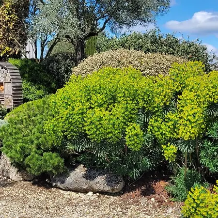 Konukevi Chateau La Rose Perriere 3*